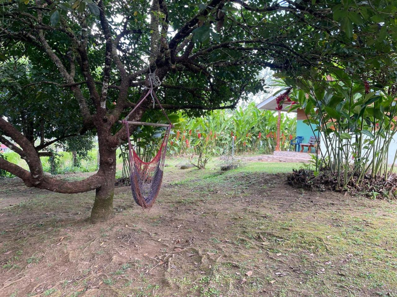 Rural Ave Del Paraiso